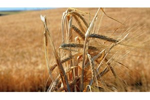 Ραντεβού Μητσοτάκη με Ντράγκι στην Ρώμη ενόψει Συνόδου Κορυφής - Βαρύ το κλίμα για την Τουρκία στις Βρυξέλλες - εικόνα 2