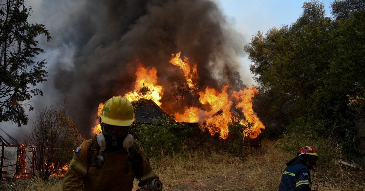 Φωτιά στην Αχαΐα: 300 πυροσβέστες στη σκληρή μάχη με τις φλόγες – Κάηκαν…