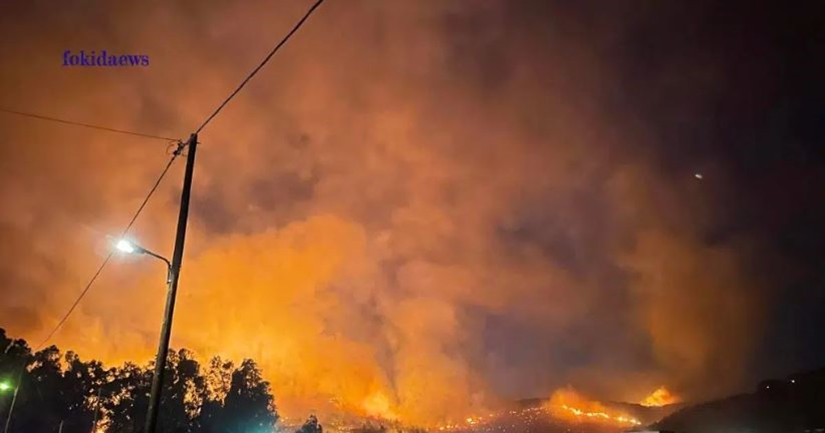 Νύχτα αγωνίας στη Φωκίδα: Μάχη να μείνουν οι φλόγες μακριά από την Ιτέα - Ενισχύθηκαν με το πρώτο φως οι δυνάμεις [Εικόνες-Βίντεο] - εικόνα 4