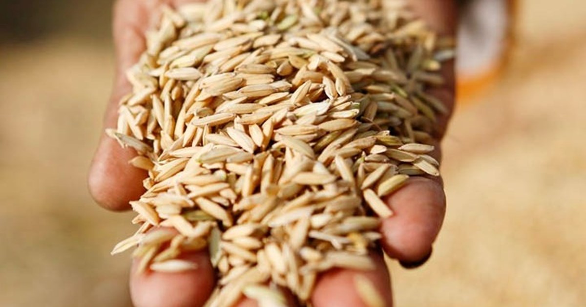 "Σίγουρη"  η Ούρσουλα φον ντερ Λάιεν πως θα χορηγηθεί στην Ουκρανία καθεστώς χώρας υποψήφιας για ένταξη στην ΕΕ - εικόνα 2