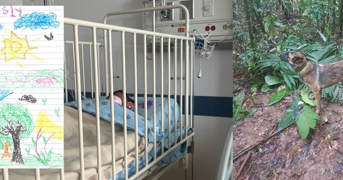 Μεξικό: Τεράστια χαμένη πόλη των Μάγια βρέθηκε κατά λάθος από φοιτητή αρχαιολογίας - Έκανε αναζήτηση στο Google - εικόνα 2