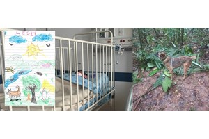 Μεξικό: Τεράστια χαμένη πόλη των Μάγια βρέθηκε κατά λάθος από φοιτητή αρχαιολογίας - Έκανε αναζήτηση στο Google - εικόνα 2