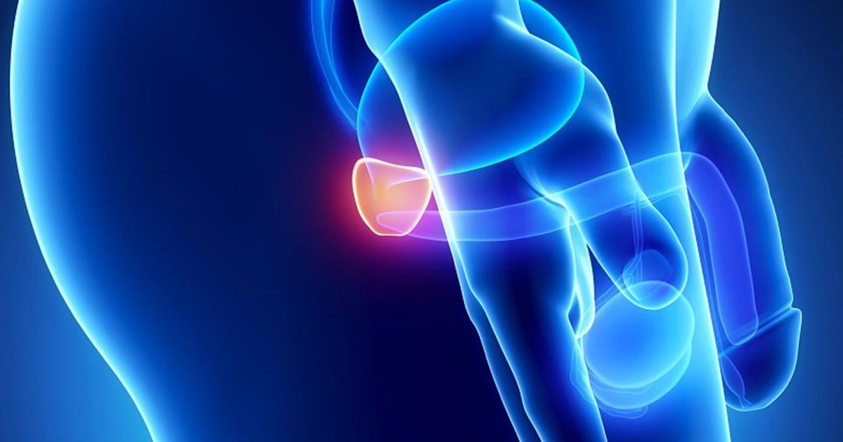 ECDC: Περισσότερα από 200 κρούσματα ευλογιάς των πιθήκων έχουν εντοπιστεί παγκοσμίως - εικόνα 2