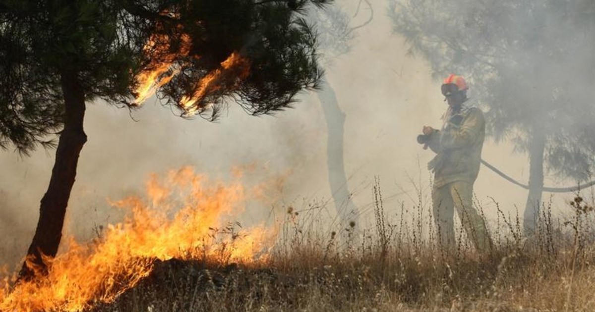 Σε ύφεση η μεγάλη φωτιά κοντά στην λίμνη Καϊάφα στην Ηλεία ...