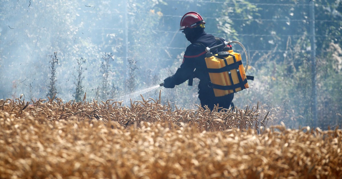 Χιλιάδες στρέμματα καμένα στη Γαλλία λόγω καύσωνα και ξηρασίας