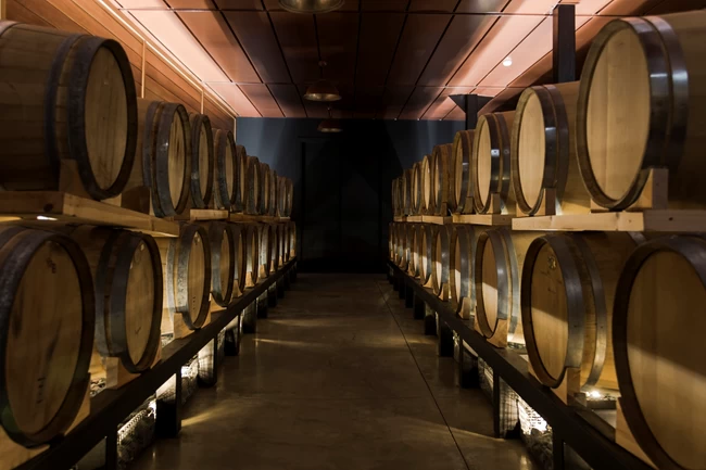 ΠΟΤΟΠΟΙΙΑ 6