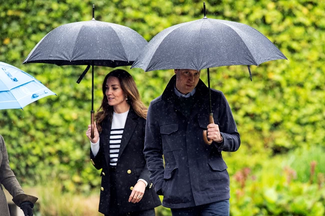 kate william