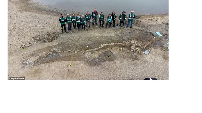 Ιχθυόσαυρος ομάδα ερευνητών