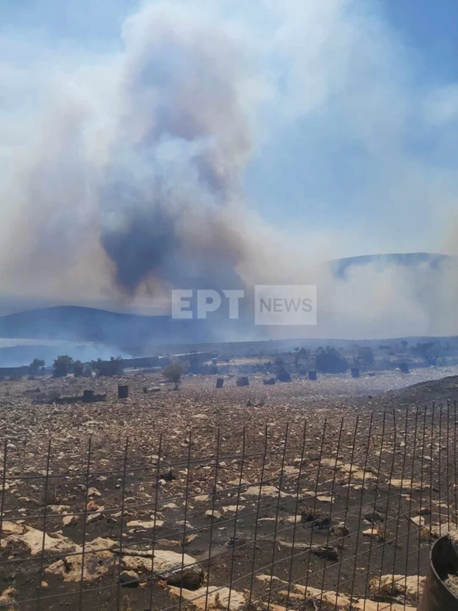 Φωτιά στη Βοιωτία: Σε αυτό το μαντρί πέθανε ο βοσκός στον Πρόδρομο - Προσπαθούσε να σώσει τα ζώα του