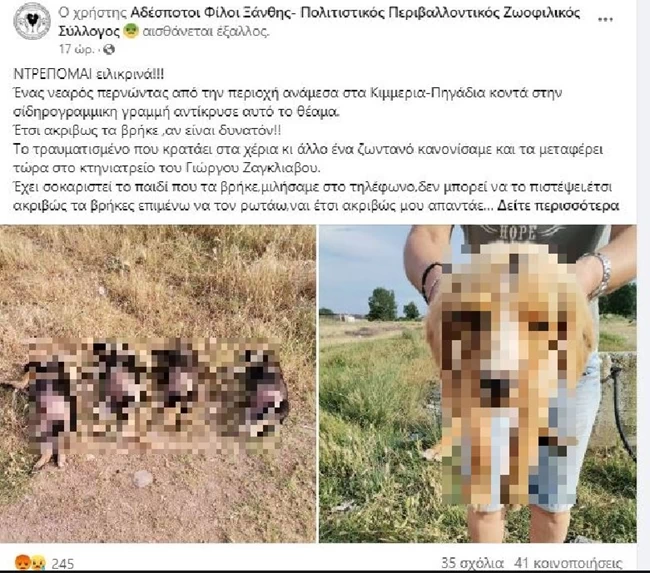 ΚΟΥΤΑΒΑΚΙΑ ΝΕΚΡΑ