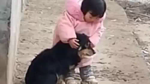 Viral: Καταπληκτικό κοριτσάκι καλύπτει τα αυτιά σκύλου για να μην φοβάται τις κροτίδες [Βίντεο]