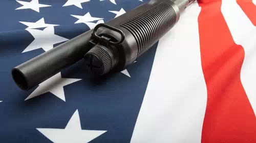 Έρευνα: Τρεις στους 10 Αμερικανούς έχουν όπλο