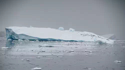 Δραματική συρρίκνωση των πάγων της Ανταρκτικής