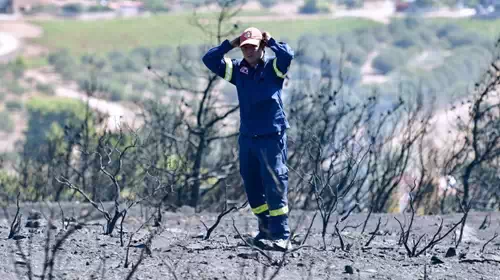 Κερατέα: Η απόγνωση του πυροσβέστη στη θέα της καταστροφής από τη φωτιά [εικόνες]
