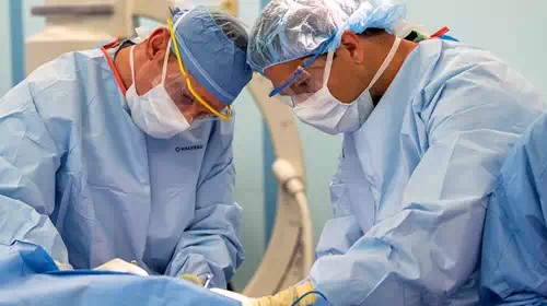 Ιατρικό ορόσημο: Για πρώτη φορά μεταμόσχευσαν σε άνθρωπο νεφρό από χοίρο και λειτούργησε κανονικά