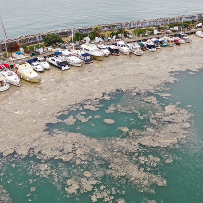 Βλέννα&quot; πάχους 15 μέτρων απειλεί το Αιγαίο: Συναγερμός στη θάλασσα του... | Ελλάδα Ειδήσεις