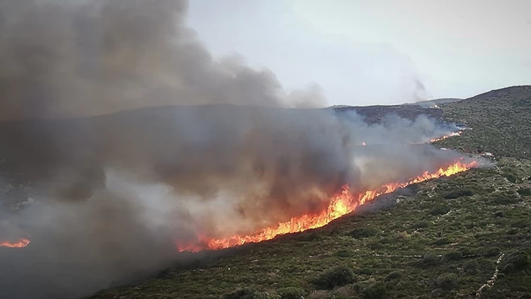 Fwtia Twra Sto Layrio Kaigetai Dasikh Ektash Ellada Eidhseis