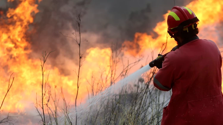 Φωτιά στην Κερατέα - Συναγερμός στην Πυροσβεστική | Ελλάδα Ειδήσεις
