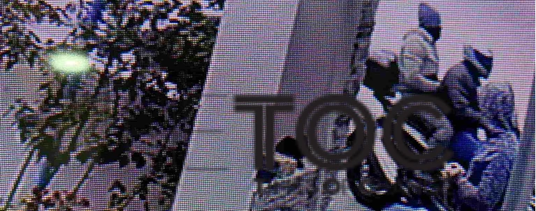 δολοφονια καραιβαζ