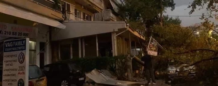 Δέντρο σε σπίτι