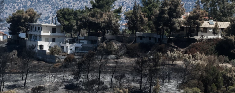 Σχίνος