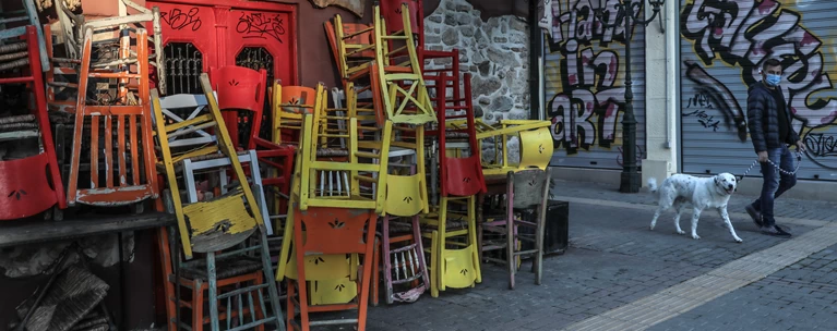 σκυλος εστιαση βολτα