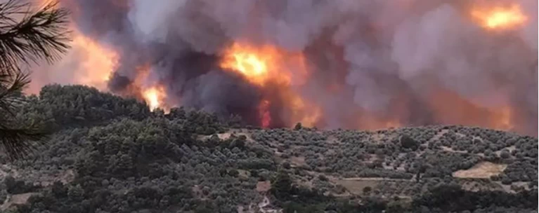 Φωτιά στην Εύβοια: Καίγονται σπίτια, εκκενώθηκαν 12 χωριά, απειλείται... | Ελλάδα Ειδήσεις