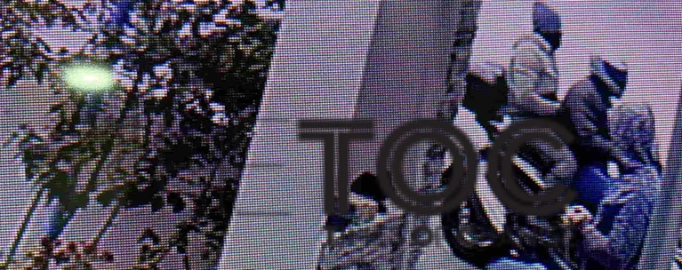 δολοφονια καραιβαζ