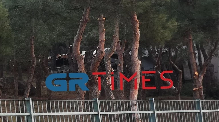 πολιχνη