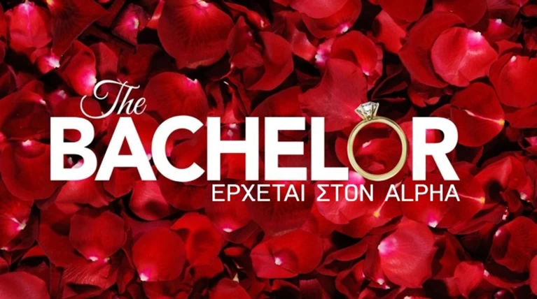 the bachelor