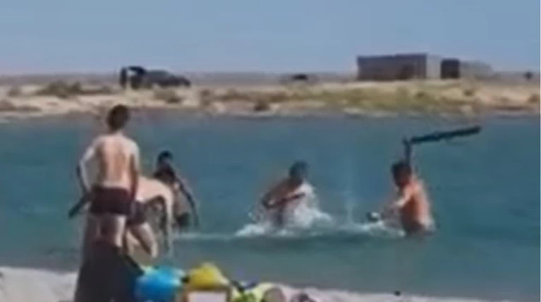 Βαρβαρότητα Φώκια Καζακστάν