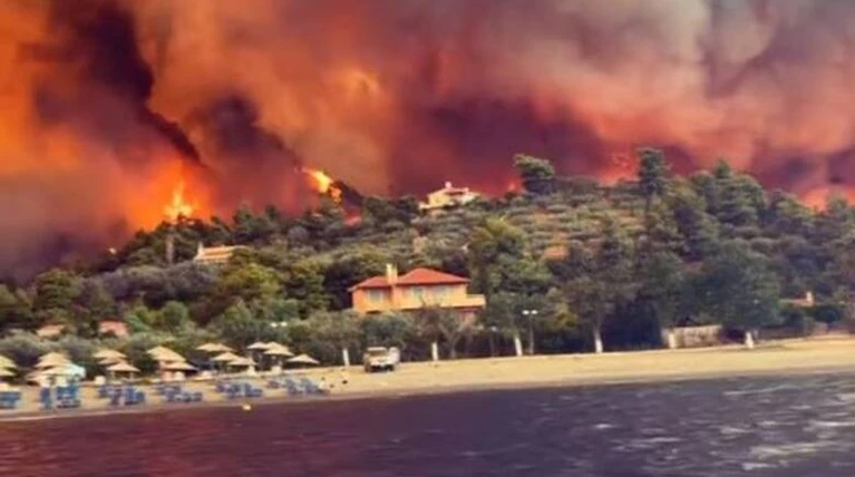 Φωτιά στην Εύβοια: Γροθιά στο στομάχι η μαρτυρία διασωθείσας από τις... | Ελλάδα Ειδήσεις