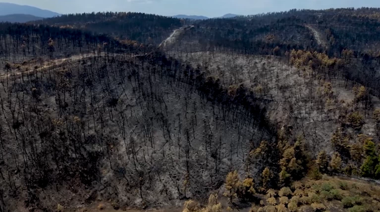 Βόρεια Εύβοια: Εικόνες από drone πάνω από τον καμένο "Παράδεισο" - Νέο... |  Ελλάδα Ειδήσεις