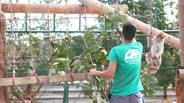 Αττικό Ζωολογικό Πάρκο