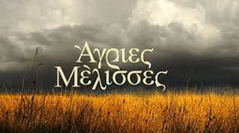 Αγριες Μέλισσες