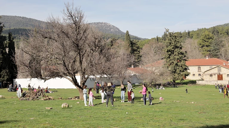 τατοι
