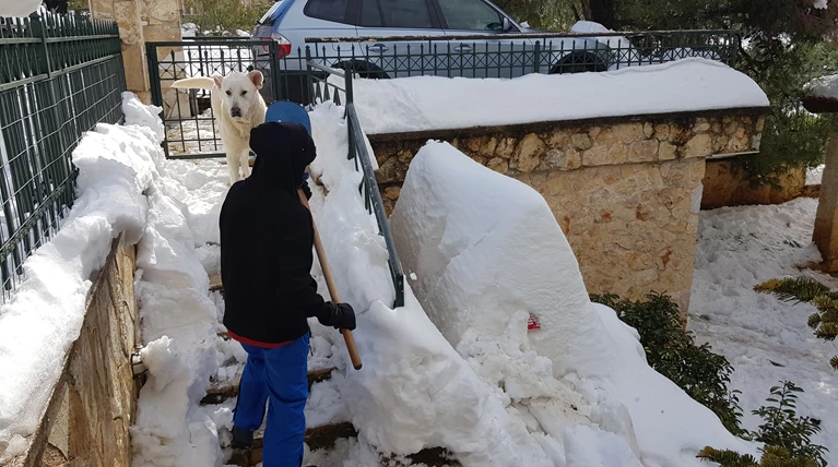 χιονια
