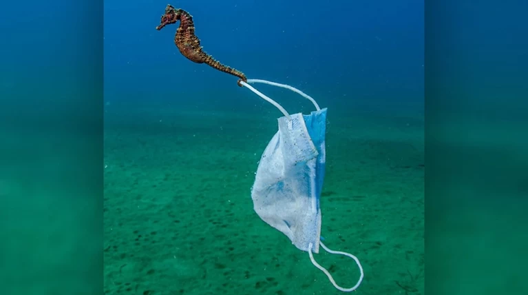ιππόκαμπος