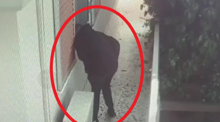 Σπείρα διαρρηκτών Μεσόγεια