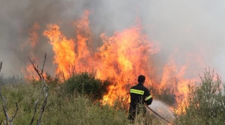 Μεγάλη φωτιά σε εξέλιξη στην περιοχή Ακόντιο Βοιωτίας