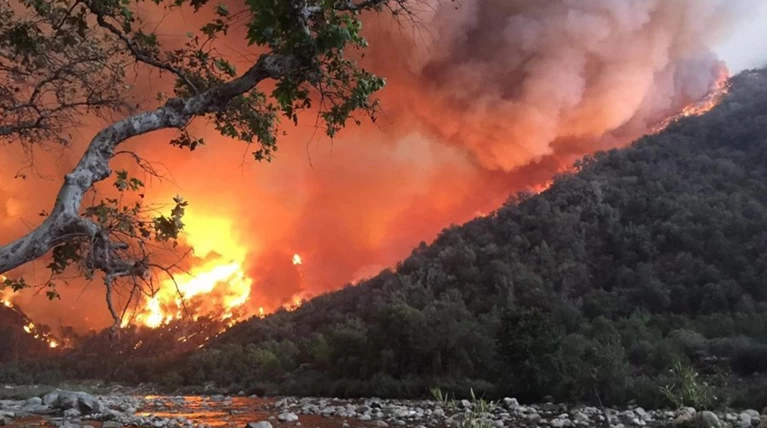 Θανατηφόρες πυρκαγιές στην Καλιφόρνια αφήνουν πίσω 5 νεκρούς