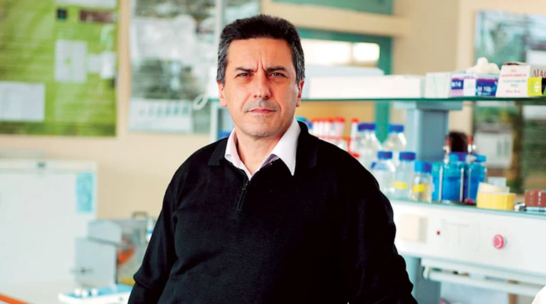 Ελληνας καθηγητής έφτιαξε θαυματουργό κέικ από τυρόγαλα!