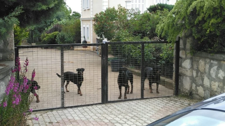 Ιατροδικαστικό πόρισμα-σοκ για την επίθεση των Ροτβάιλερ