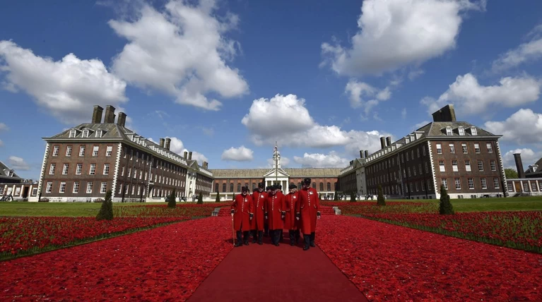 Το Chelsea Flower Show ξεκίνησε: Πλεκτά «λιβάδια» από 900.000 παπαρούνες