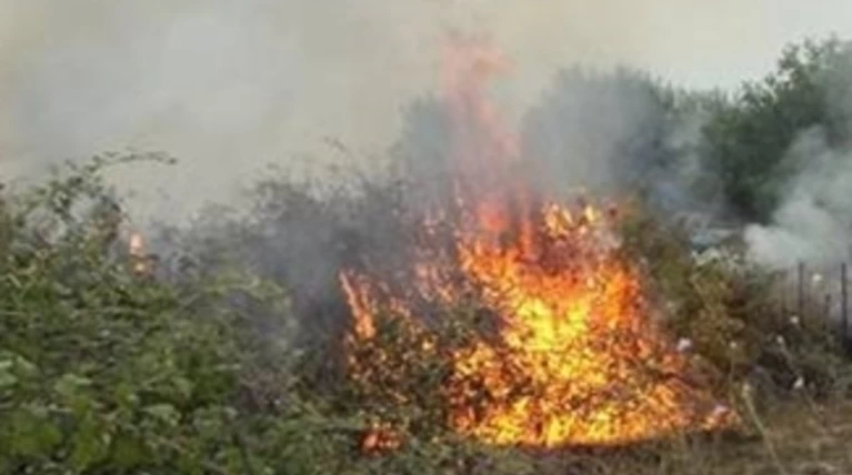 Υπό έλεγχο τέθηκε η φωτιά στον Βαρνάβα Αττικής