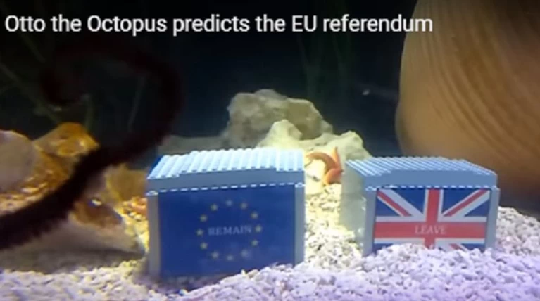 Brexit ή Bremain; Το χταπόδι Οττο αποφάνθηκε...