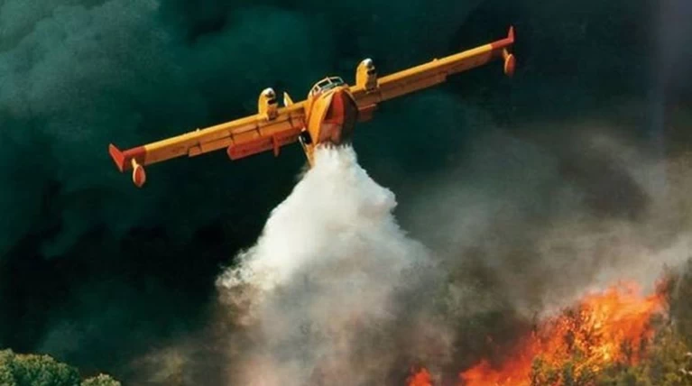 Μεγάλη πυρκαγιά σε πευκοδάσος στη Στεφάνη Βοιωτίας