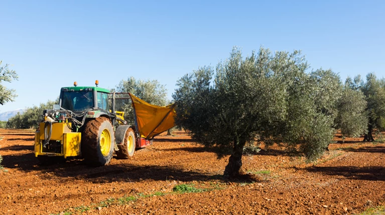 Τραγωδία στο Ρέθυμνο:Την πάτησε το αγροτικό του πατέρα της ενώ μάζευε ελιές