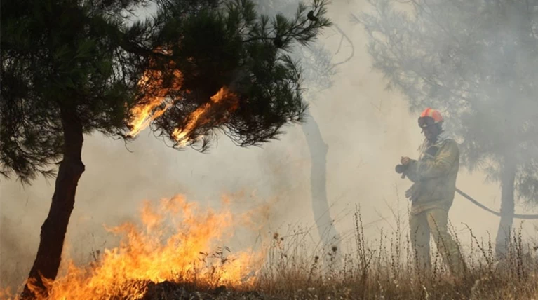 Έβαλε φωτιά σε δάσος και μετά έτρεχε να ξεφύγει από τους αστυνομικούς