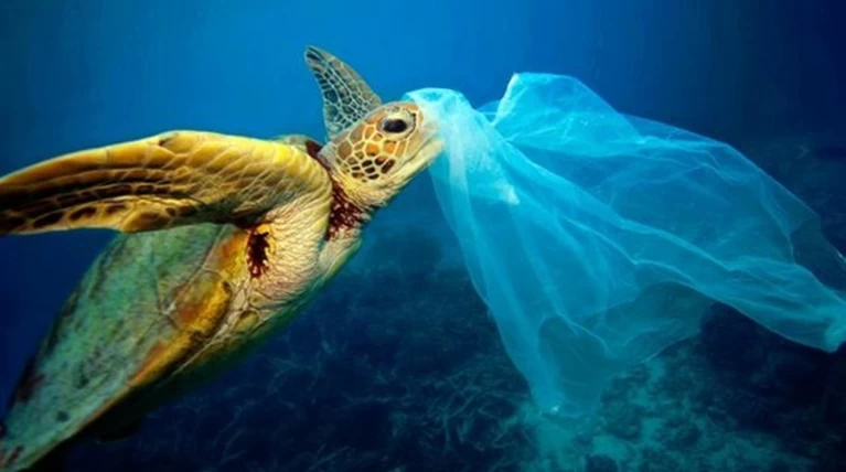 Οι ακτές καθάρισαν μετά την χρέωση στην πλαστική σακούλα